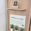 바겟뜰 이미지