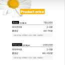 비디오하우스 이미지