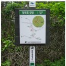 지리산 종주(2012.06.08) 이미지