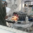 메이동물병원 이미지