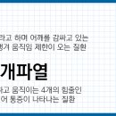 해운대코끼리정형외과의원 이미지