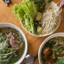 안리푸드 | 나트랑4박6일 여행 3일차 안리존스테이크하우스 코코리아이스크림 아이리조트 머드스파 니모요트투어 동...