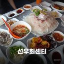 선우식당 | 가랑시장회센터 선우회센터 인기메뉴 활어모듬 솔직후기 가락시장횟집 추천 비추 🐟