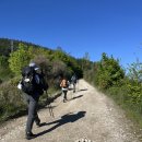 P-5C27 | 산티아고 프랑스길 3일차 후기 | 수비리-팜플로나 | 거리·난이도·꿀팁