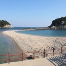 부산물 천국
