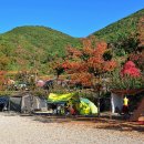 고성 장좌리 캠핑장 이미지