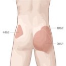 굿모닝휘트니스 이미지