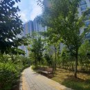 상록공원 이미지