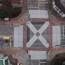 산양초등학교 사거리(산양초) 이미지