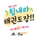 마이 태권도장 이미지