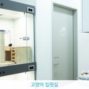 힐링동물병원 이미지