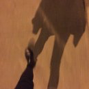 미주호스텔 이미지