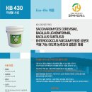 KB바이오 네이버블로그