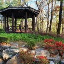 자혜공원 이미지