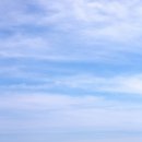 우리들의 꿈들 이미지