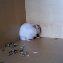 은이네집 이미지