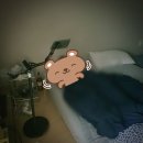내돈내산/ 아이패드 마그네틱 거치대 [제이런 스탠딩 거치대] 돈값하는후기