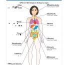 직장인 건강검진시즌이 돌아왔다: 하나로의료재단/조계사/오쁘띠베르