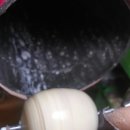 둥글원 이미지