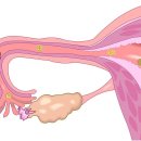혜성한의원 이미지