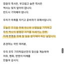 윤석열의 3.1절 기념사 이미지