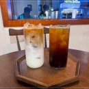 라라의 디저트