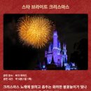 주식회사 비브라이트 | 도쿄 날씨 12월 도쿄 디즈니랜드 티켓 크리스마스 여행
