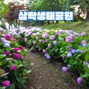 삼락생태공원 이미지