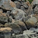 망산도 유주암 이미지