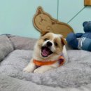 미소종합관리서비스 이미지
