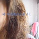 더블리치 이미지