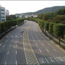 특화가로수길 파이낸셜뉴스