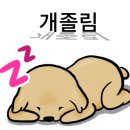 캠파제주 이미지