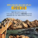 울산 이미지