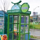 강원도오징어순대 이미지