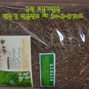 흥산 Daum카페