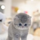 까꽁헤어