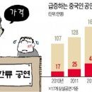 문화여행사