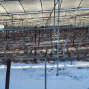 청춘풍차펜션 이미지