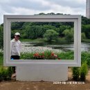 서경산악회/고양국제꽃축제(일산호수공원)-06 이미지