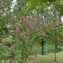 물소리바람소리 2관 이미지