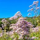 용추농원 이미지