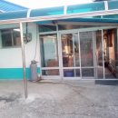 소나무집 이미지