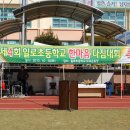 일로초등학교 이미지