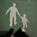 스테이 소돌 | 9월 두번째 주 딩짱이 일상