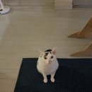 운동의 계절 | 250913 독서와 식욕과 운동의 계절