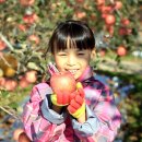 헤브론농장 이미지