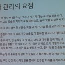 에스엘덴탈 | 임플란트 스트라우만 덴탈클래스 후기 Tip