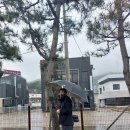 화도면사무소 이미지