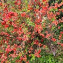 덕동농장 이미지